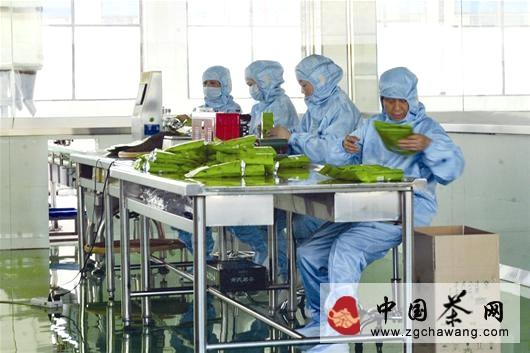 关于萧氏集团全程推行洁净化工艺的信息