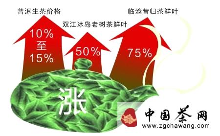 关于8000元一公斤?游资又来＂炒茶＂ 高端普洱一夜暴涨的热门信息