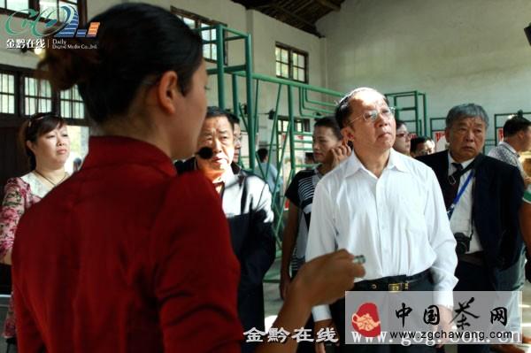 有关于湄潭县茶产业快速发展，推动茶文化旅游产品（图）的热门新闻(3)