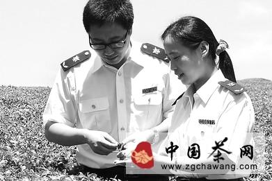 有关于杭州检验检疫局赴余杭出口茶叶示范区备案茶叶基地监管的热门消息