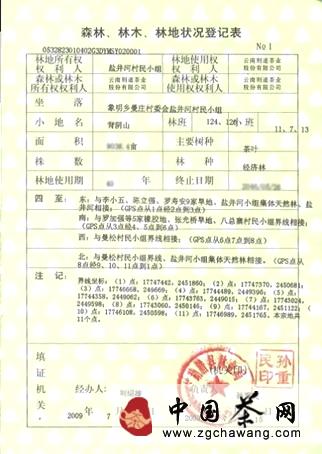 有关于解密生命之叶曼松贡茶三大真相的消息(2)