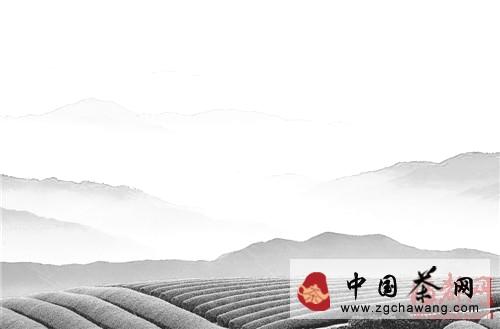 有关于恰逢十年来最佳采制气候 今年的铁观音秋茶杠杠的的信息(2)