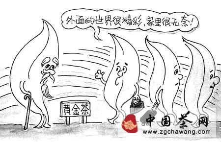 有关于宁波自主培育茶树新品种黄色茶的信息