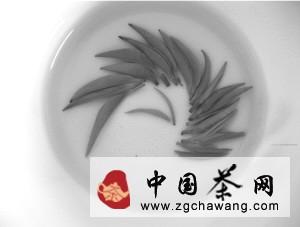 有关于遂川狗牯脑茶的芳香记忆的资讯