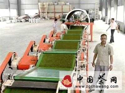 关于蓬勃发展中的光山县茶产业的新闻(1)