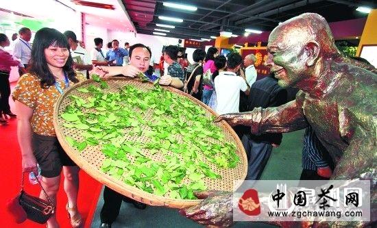 有关于茶企转型升级：高端和大众并行的热门资讯(1)