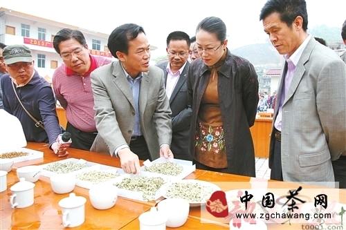 关于广东仁化县扶持茶叶产业发展纪实的热门新闻