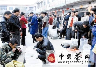 有关于信阳市打造毛尖茶品牌 茶产业发展成就辉煌的热门新闻