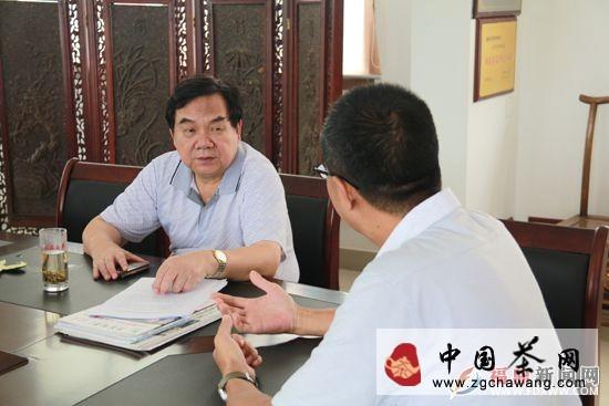 有关于福建省茶叶协会领导赴福鼎点头调研茶叶产业的最新消息
