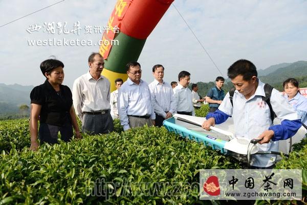 有关于昭平县推广茶叶生产机械化促茶产业转型升级的信息