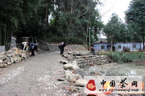 有关于西部雅安有个“水韵茶乡”的热门信息(1)