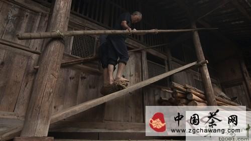 有关于纪录片《茶》首次曝光“用脚揉茶”的新闻