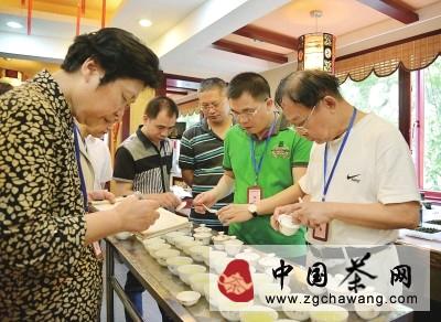 有关于第十三届中国(海西)安溪铁观音茶王赛20日决赛的热门信息