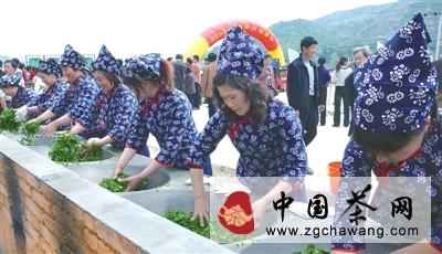 有关于云和名茶“仙宫雪毫”清香四溢的热门资讯