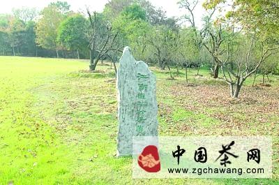 关于南京“茶”故事：陆羽曾在栖霞山写《茶经》(图)的热门信息(1)