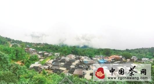 关于茶树自然博物馆景迈古茶园迈上申遗路的最新消息