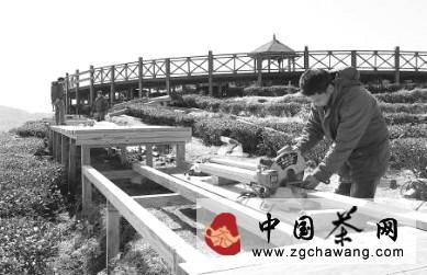 有关于大田县建设生态茶园绿色休闲体验区项目(图)的最新信息