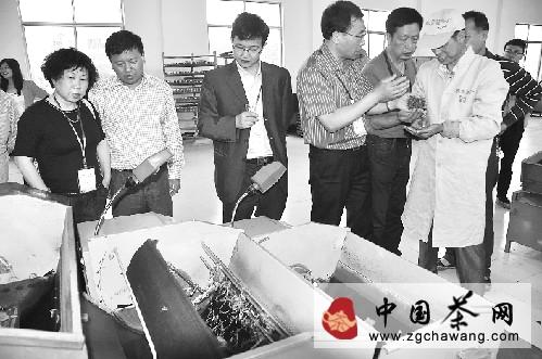 关于磐安云峰茶叶缘何逆势飘红？的热门资讯(1)