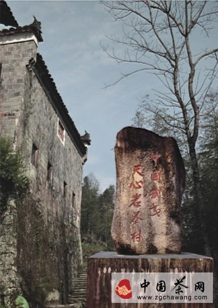 关于武夷山天心村寻茶记:寻找中国最好的武夷岩茶的信息(1)