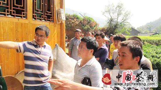 关于保靖县黄金茶种植大村举办创业培训班的热门信息