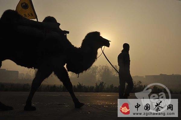 有关于“重走茶叶之路”驼友生活纪实【组图】的资讯