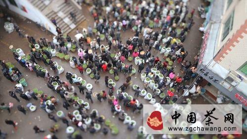 有关于《茶》 央一开播 四看点探寻茶文化的信息(1)