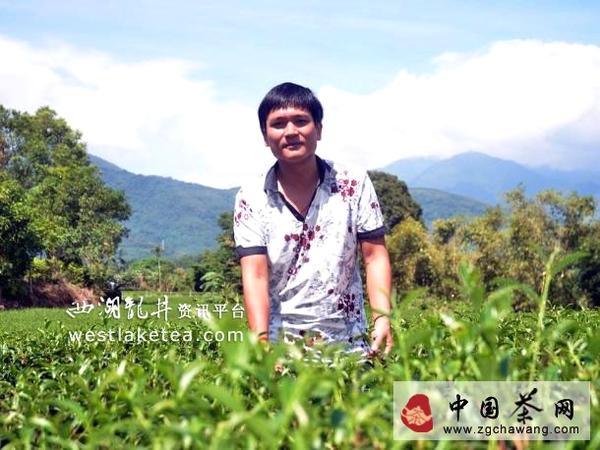 有关于服刑7年杀人犯参加台东区制茶技术竞赛夺冠的资讯