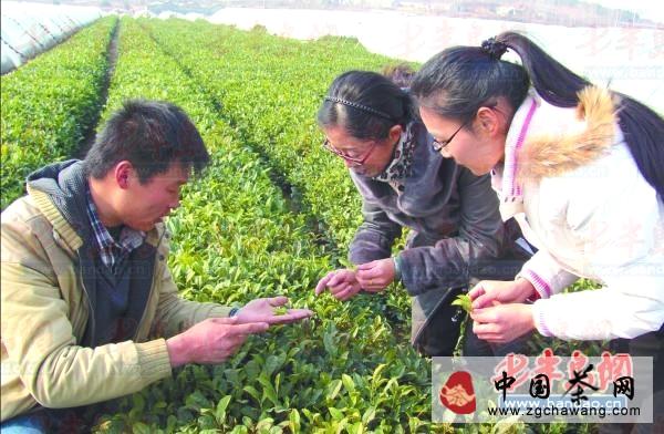 有关于曲阜师范大学学生社会实践基地落户日照岚山区的热门消息