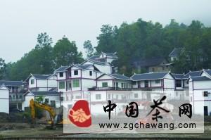 有关于普定化处镇复兴万亩朵贝贡茶的信息