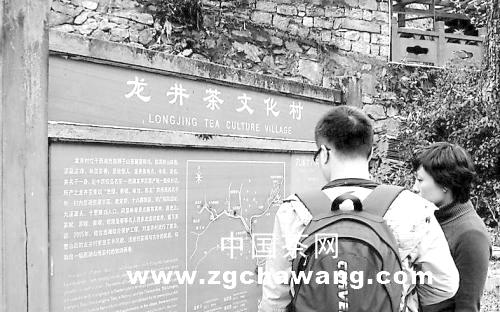 有关于明前龙井价格大跳水之真相探访的消息