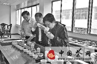 有关于大田举办秋茶鉴评活动的最新资讯