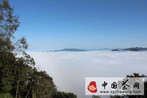 有关于CCTV发现之旅·“和明星去旅行”探秘曼松贡茶山特别节目即将开拍的最新信息
