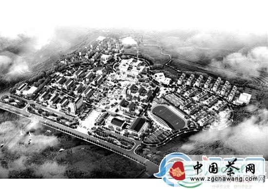 有关于福建安溪茶专业人才“造血”工程启动（图）的最新资讯