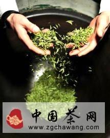 有关于2014竹叶青春茶 清新上市的消息(2)