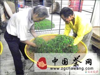 有关于東方美人茶竞赛 月底揭曉的热门消息