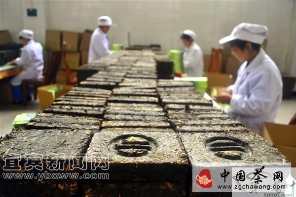 关于川红茶业集团20吨茶叶将出口俄罗斯的最新资讯