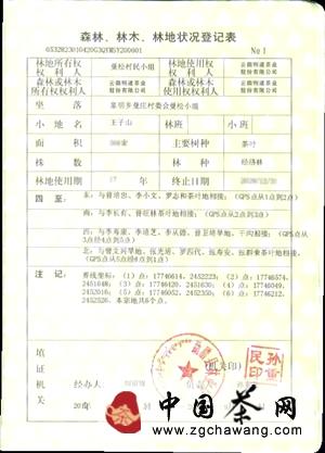 关于生命之叶曼松贡茶持续升值的秘密的最新资讯(5)