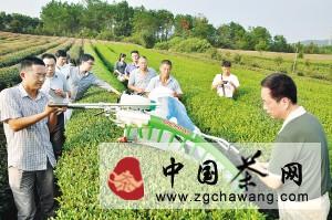 有关于绍兴成全国名优茶机械化采摘试验地（图）的热门信息