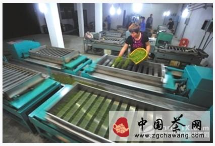 有关于茶叶生产机械化 我国茶叶加工自动化成趋势的热门新闻