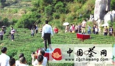 有关于安溪洪恩岩景区原生态茶歌吸引游客的热门新闻