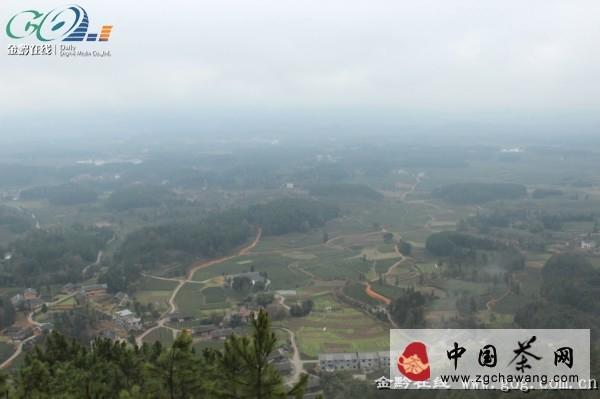 关于以茶兴镇、以茶扬镇 遵义凤冈打造“中华茶旅第一镇”的热门消息