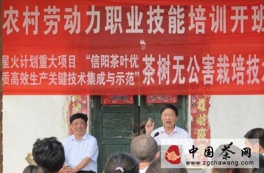 有关于信阳著名茶乡开展无公害茶叶生产技术培训的热门信息
