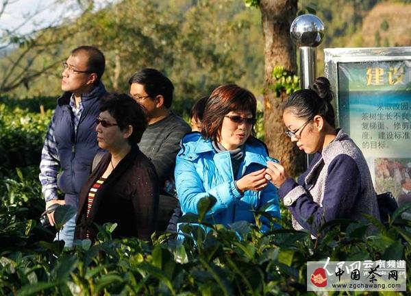 关于30余专家走进云南昌宁 探秘千年茶乡的资讯
