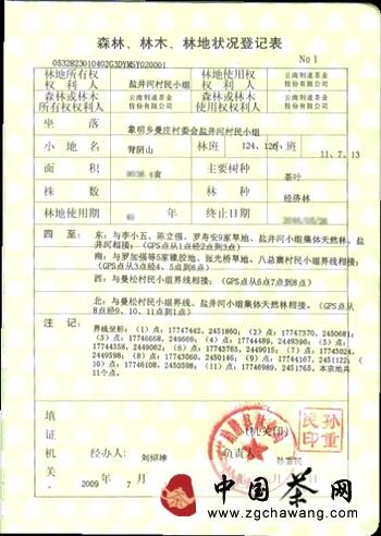 有关于生命之叶曼松贡茶成为普洱茶新宠的热门消息(2)