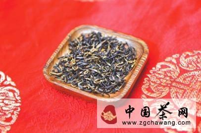 有关于热血青年传承茶文化 海拔1300米的高山上种茶的最新信息(1)