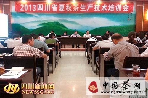 有关于四川省夏秋茶生产技术培训会在宜宾举行的最新信息