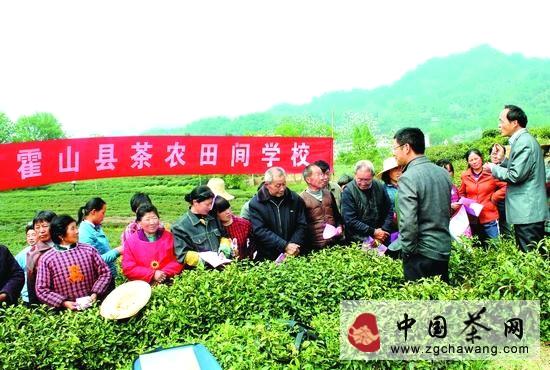 有关于霍山开设“田间学校”，指导茶树病虫害防治的热门消息
