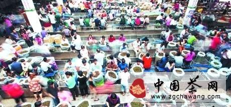 有关于安溪铁观音秋茶呈现产销两旺态势（图）的热门资讯