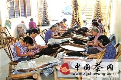 有关于福鼎点头镇茶叶加工区为老年人增收的最新消息