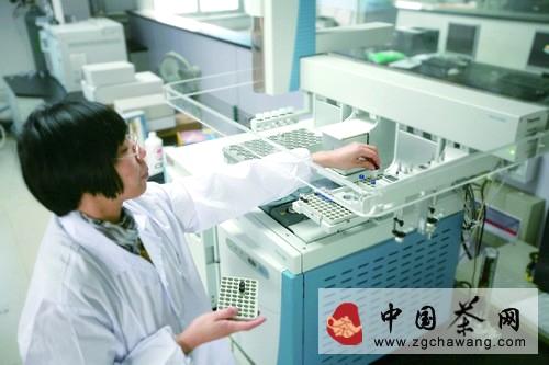 有关于绍兴检科分院加强茶叶农药残留检测能力的新闻